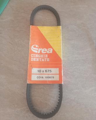 Cinghia dentata