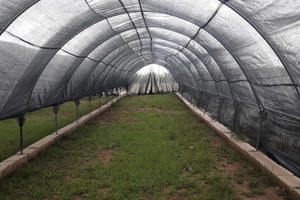 Serre con rete ombreggiate