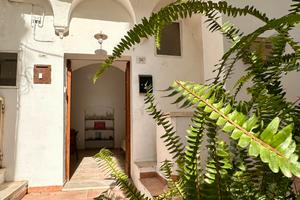 Antica casa salentina con volte a botte e a stella