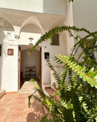 Antica casa salentina con volte a botte e a stella