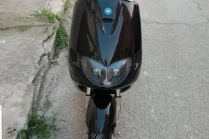 Piaggio Zip fr (fast rider)