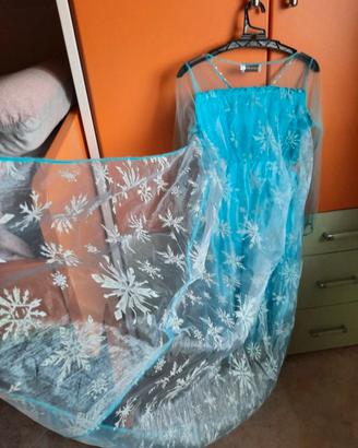Costume Frozen Elsa