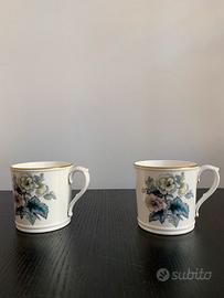 Royal Worcester C51. N.2 mugs decoro botanica