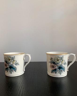 Royal Worcester C51. N.2 mugs decoro botanica