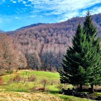 Vendita grazioso villino Camporotondo