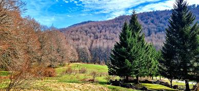 Vendita grazioso villino Camporotondo