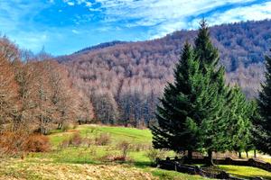 Vendita grazioso villino Camporotondo