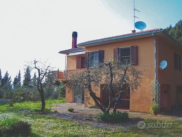Casa a solo con terreno e oliveta