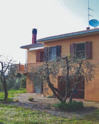 Casa a solo con terreno e oliveta