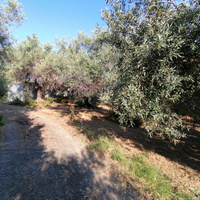 Terreno agricolo Santa Lucia del Mela