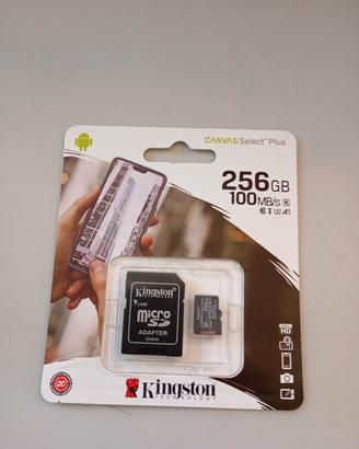 scheda micro SD 256Gb kingston