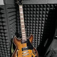 Chitarra semiacustica