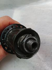 Pignone Shimano