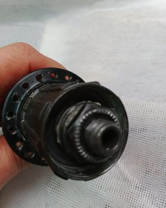 Pignone Shimano