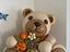 Immagine 1