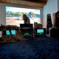 Mcintosh mc1201 coppia MC 1201