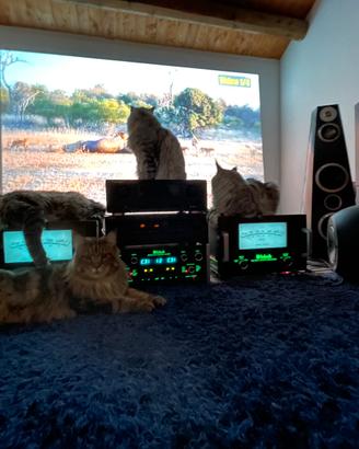 Mcintosh mc1201 coppia MC 1201