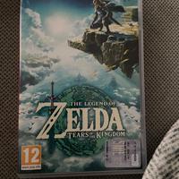 zelda  terra of the kingdom