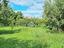Immagine 10