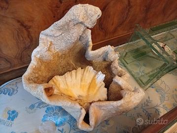 FONTANA A CONCHIGLIA MARINA ANNI 50