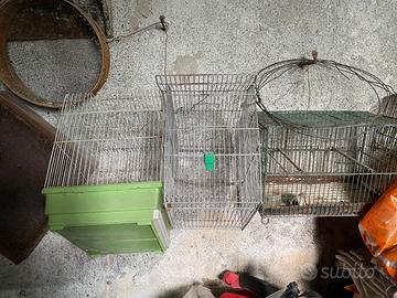 Dieci gabbie per piccoli animali