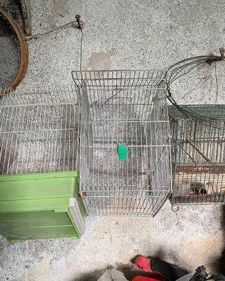 Dieci gabbie per piccoli animali