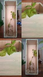 Cassettina porta vasi