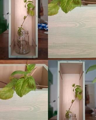 Cassettina porta vasi