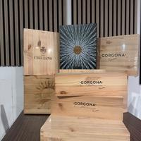 Lotto vini in casse legno Frescobaldi top