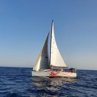 Comet 41s 2006 epoxy e carbonio