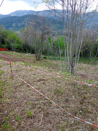 Terreno edificabile loc.Monte Pilorci