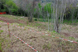Terreno edificabile loc.Monte Pilorci