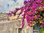 Immagine 27