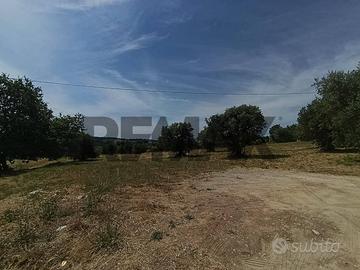 Terreno Edificabile - Torrevecchia Teatina