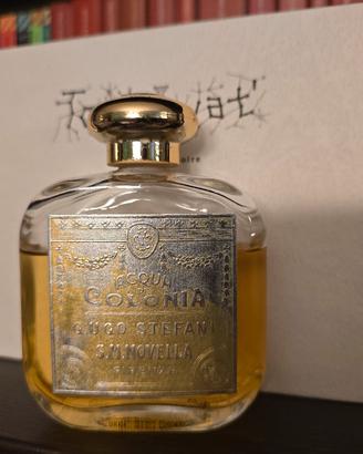 Santa Maria Novella Colonia 