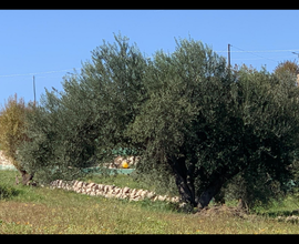 Permuto casa in campagna più terreno con casa o