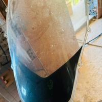 Cupolino rsv 1000 2004