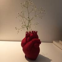 Vaso decorativo a forma di cuore