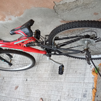 MOUNTAIN bike
