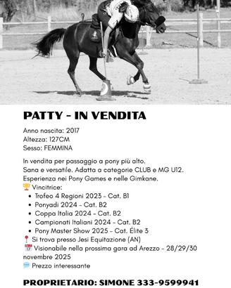 Pony per Pony Games