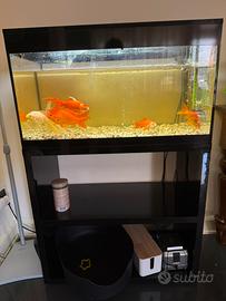 Acquario Askoll XL completo di mobile