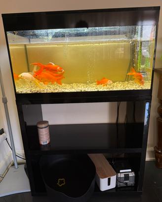 Acquario Askoll XL completo di mobile