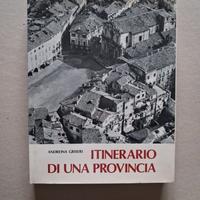 Libro INTINERARIO DI UNA PROVINCIA