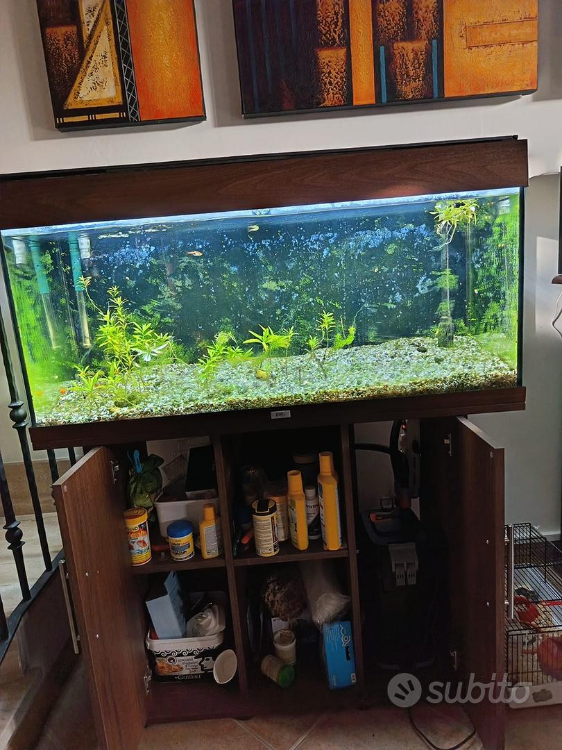 Acquario Rio 180
