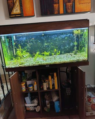 Acquario Rio 180