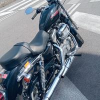 Harley-Davidson Sportster 883 - 2006