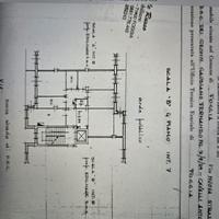 Macchia gialla vista panoramica sul gargano