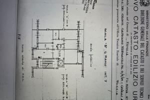 Macchia gialla vista panoramica sul gargano