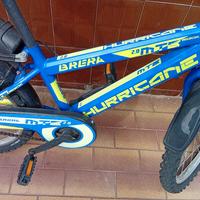 bicicletta bambino 18 pollici