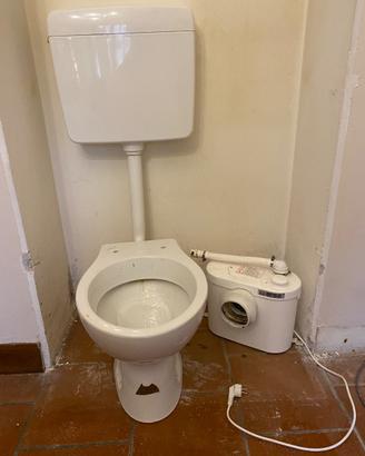 WC con trituratore